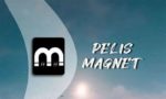 Pelis Magnet APK for Android Free Download Latest Version