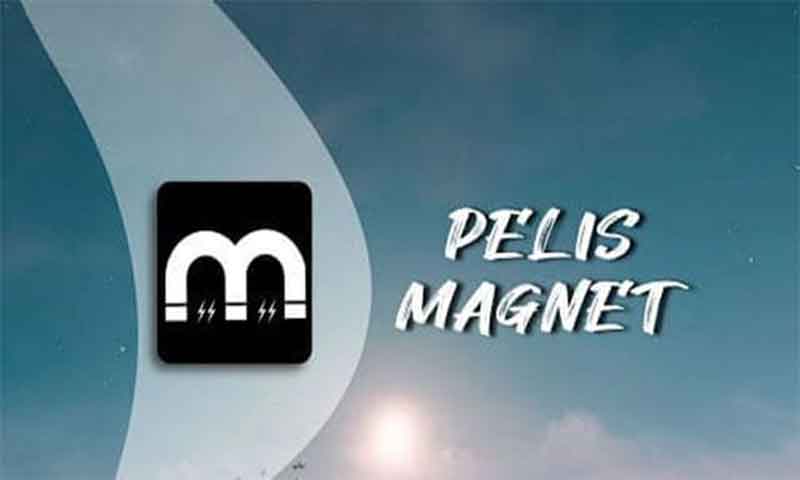 Pelis Magnet APK for Android Free Download Latest Version