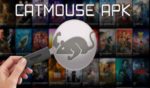 CatMouse APK for Android Free Download